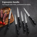 PAUDIN 15 - Piece Kitchen Knife Set with Block - High Carbon German Steel - Paudin Store