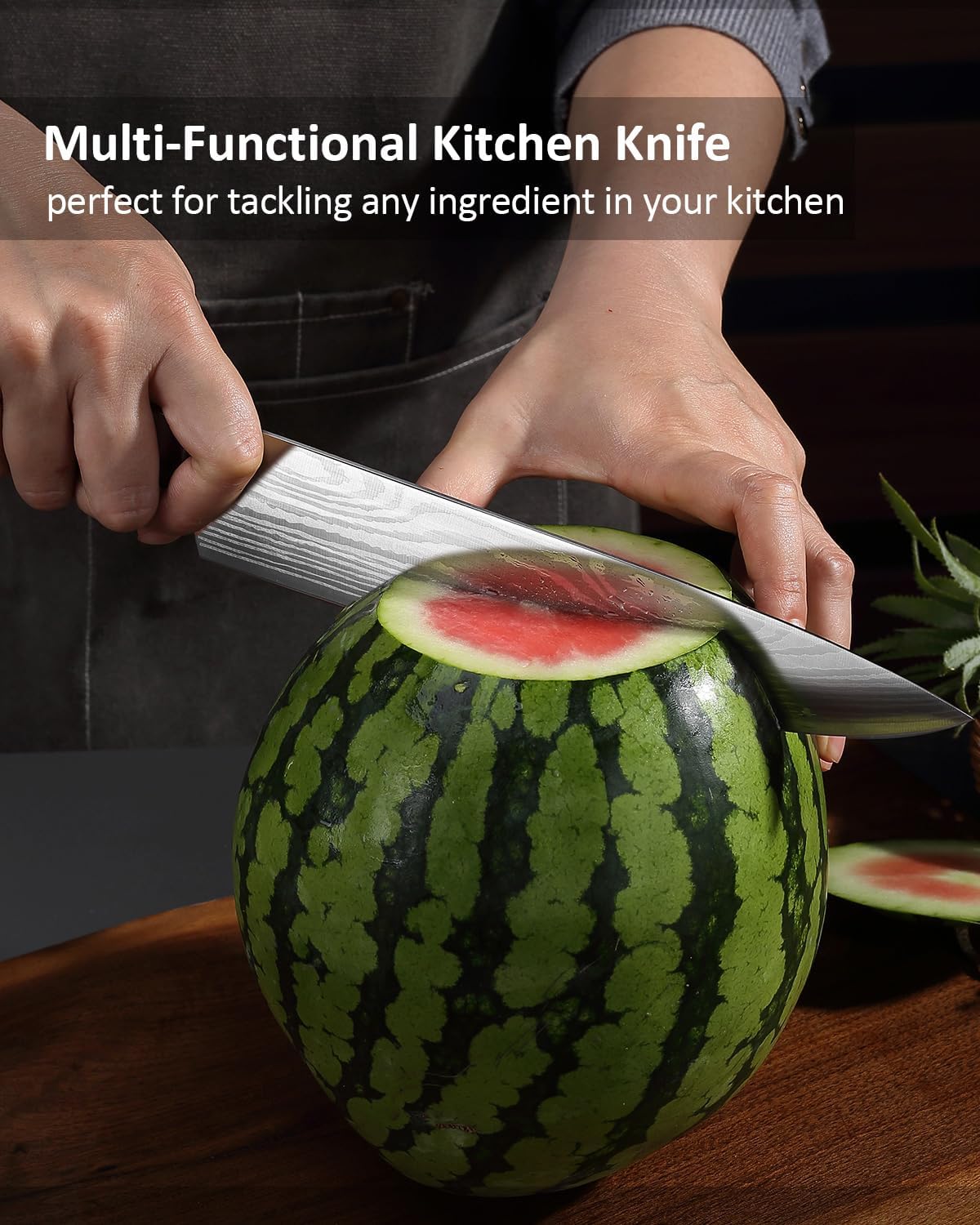 PAUDIN Universal Classic 9 Inch Chef's Knife - Paudin Store