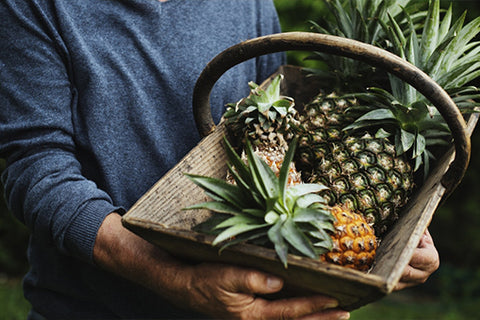 HOW TO CUT A PINEAPPLE - Paudin Store