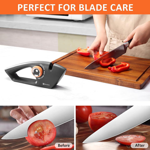 PAUDIN Knife Sharpener-KS2