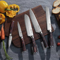 NS5 Universal Classic 5-PC Knife Set - Paudin Store