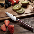 Plume Luxe 3.5" Damascus Paring Knife - Paudin Store