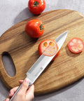 Paudin R3 8-inch Carving Knife - Paudin Store