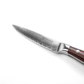 Plume Luxe 5" Damascus Utility Knife - Paudin Store