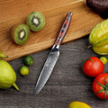 Plume Luxe 5" Damascus Utility Knife - Paudin Store