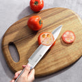 Refresh 8" Carving Knife - Paudin Store